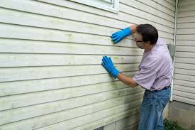 Best Insulated Siding Installation  in Inverness Highlands South, FL